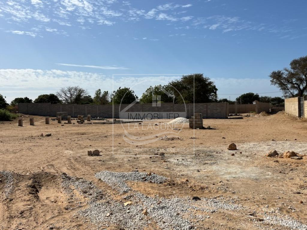 Agence Immobilière Saly Sénégal - T3337 - Terrain à NGUERIGNE - T3337 Terrain a vendre Nguerigne