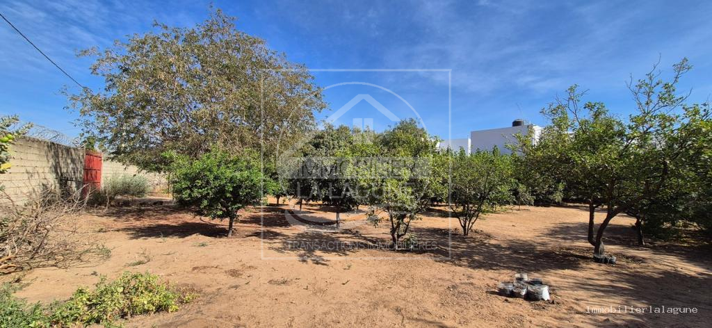 Agence Immobilière Saly Sénégal - T3340 - Terrain à NGAPAROU - T3340 terrain a vendre ngaparou senegal