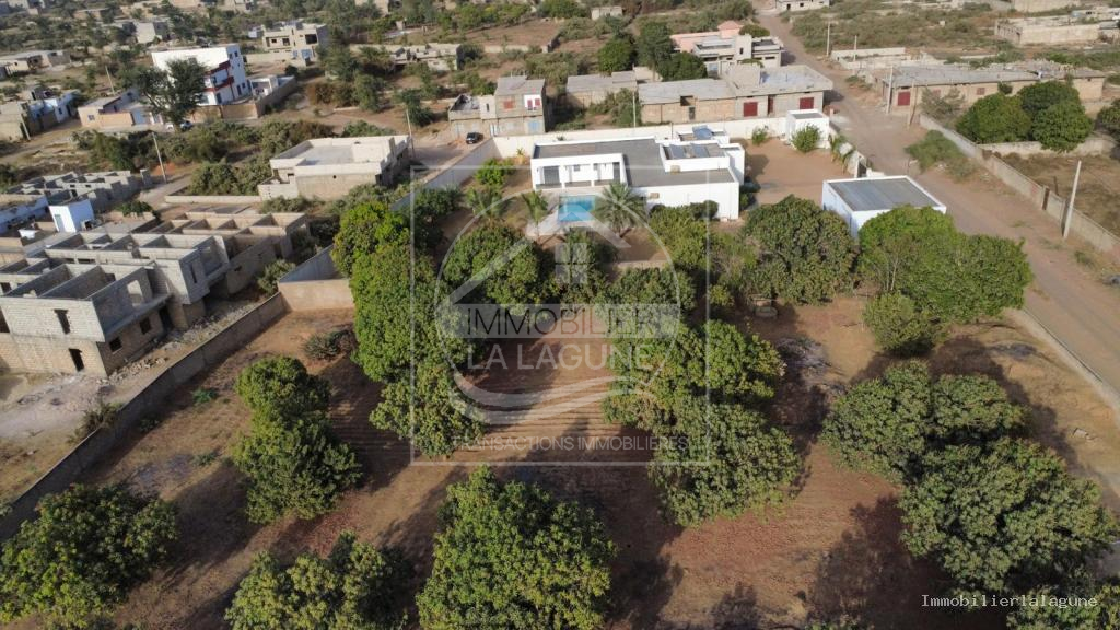 Agence Immobilière Saly Sénégal - T3344 - Terrain à GANDIGAL - T3344 terrain a vendre gandigal senegal