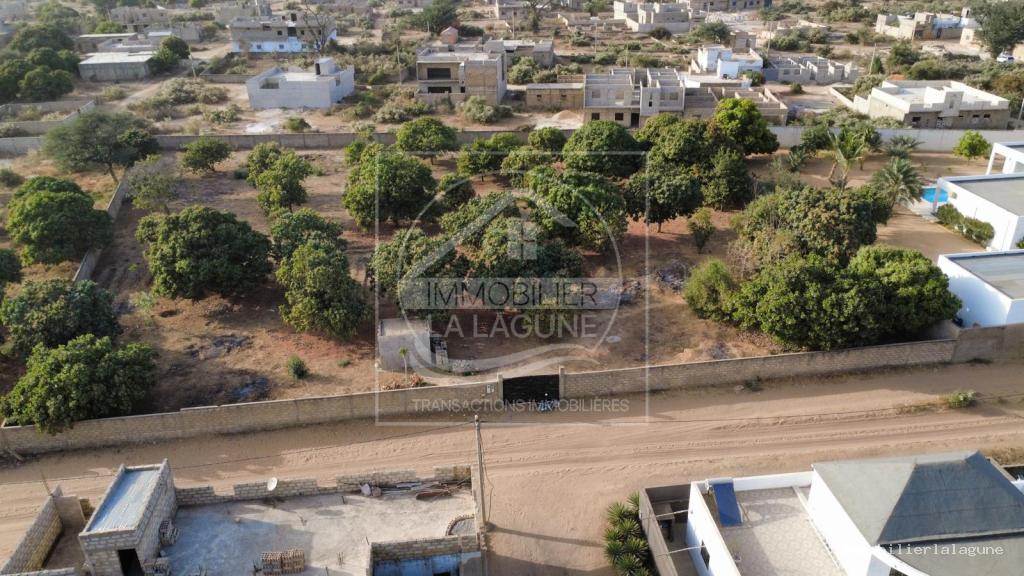 Agence Immobilière Saly Sénégal - T3344 - Terrain à GANDIGAL - T3344 terrain a vendre gandigal senegal