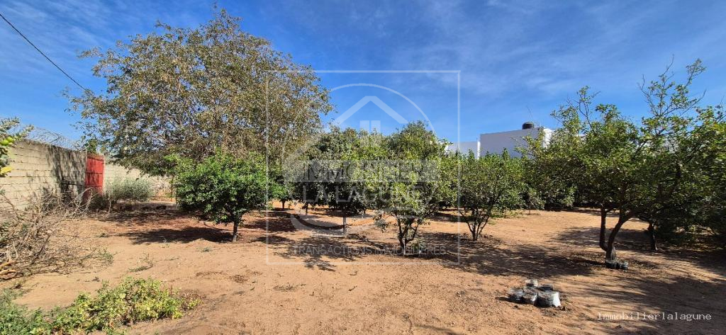 Agence Immobilière Saly Sénégal - T3340 - Terrain à NGAPAROU - Terrain à vendre à Ngaparou, entre Saly et Somone, Petite Côte Sénégal — Agence Immobilier La Lagune
