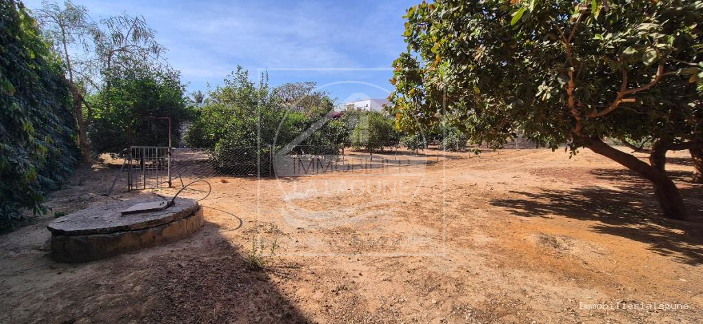 Agence Immobilière Saly Sénégal - T3340 - Terrain à NGAPAROU - Terrain à vendre à Ngaparou, entre Saly et Somone, Petite Côte Sénégal — Agence Immobilier La Lagune