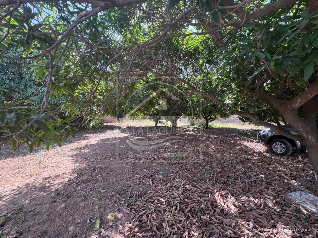 Agence Immobilière Saly Sénégal - T3362 - Terrain à NGAPAROU - T3362 terrain a vendre Ngaparou