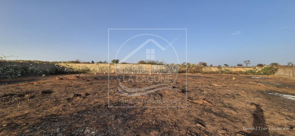 Agence Immobilière Saly Sénégal - T3369 - Terrain à Guéréo - 