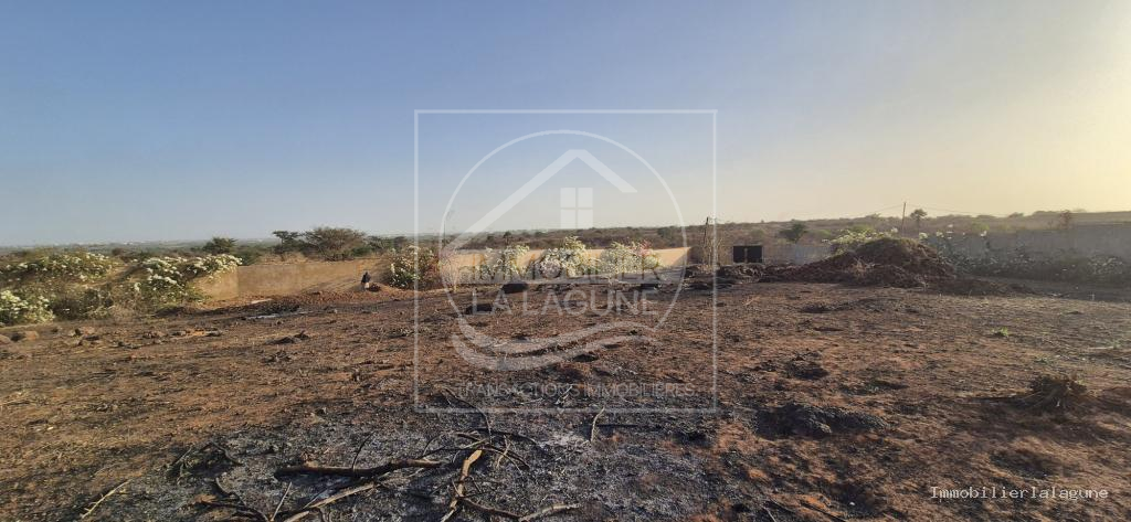 Agence Immobilière Saly Sénégal - T3369 - Terrain à Guéréo - 