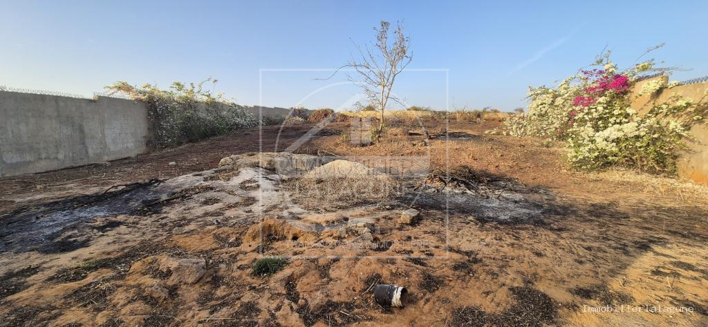 Agence Immobilière Saly Sénégal - T3369 - Terrain à Guéréo - 