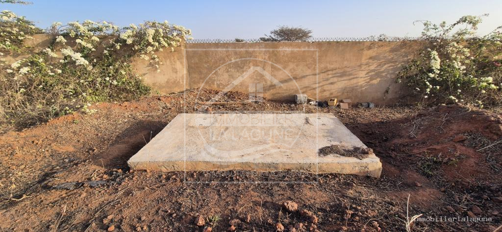 Agence Immobilière Saly Sénégal - T3369 - Terrain à Guéréo - 