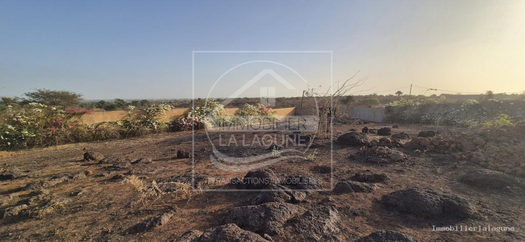 Agence Immobilière Saly Sénégal - T3369 - Terrain à Guéréo - 