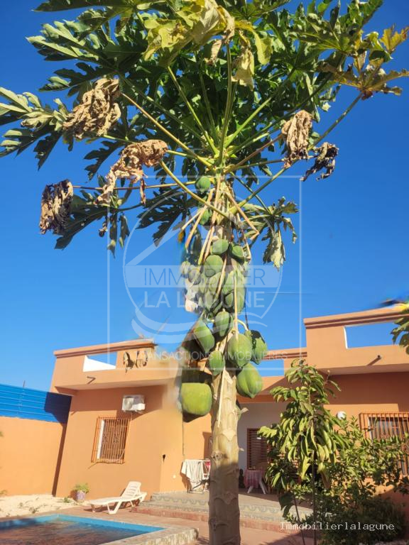 Agence Immobilière Saly Sénégal - V3374 - Villa à POPENGUINE - 