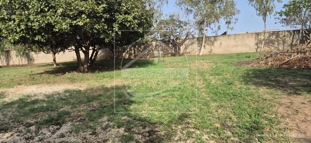 Agence Immobilière Saly Sénégal - T3375 - Terrain à N'DIOROKH - 