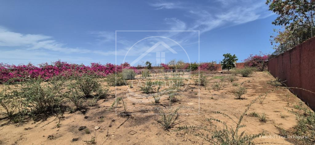 Agence Immobilière Saly Sénégal - T3377 - Terrain à NGUERIGNE - 