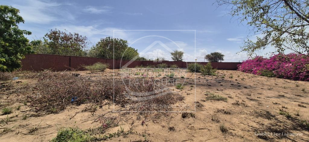 Agence Immobilière Saly Sénégal - T3377 - Terrain à NGUERIGNE - 