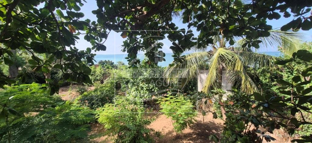 Agence Immobilière Saly Sénégal - V3379 - Villa à SALY - 