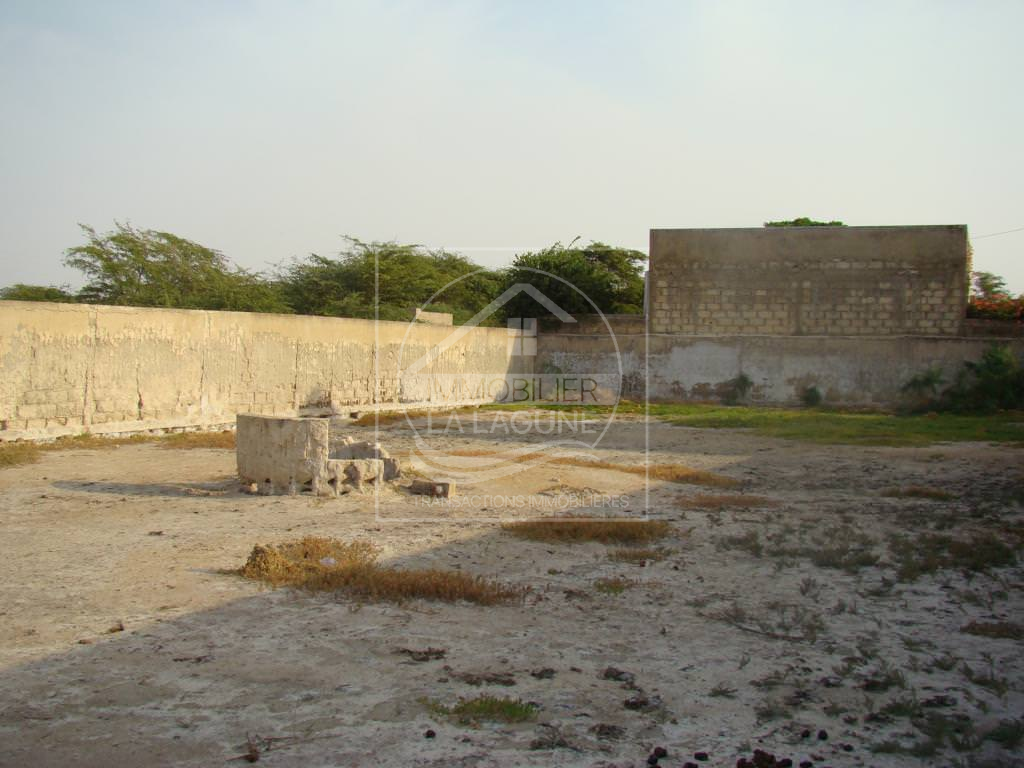Agence Immobilière Saly Sénégal - T1896 - Terrain à NIANING - T1896 terrain à vendre à nianing