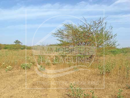 Agence Immobilière Saly Sénégal - T661 - Terrain à BANDIA - T661-Terrain-Senegal-BANDIA-