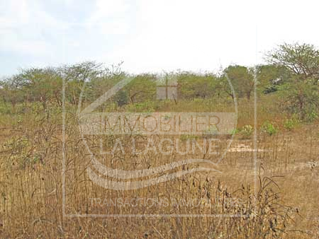 Agence Immobilière Saly Sénégal - T661 - Terrain à BANDIA - T661-Terrain-Senegal-BANDIA-