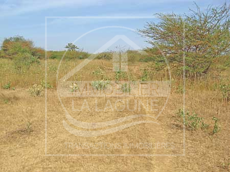 Agence Immobilière Saly Sénégal - T661 - Terrain à BANDIA - T661-Terrain-Senegal-BANDIA-