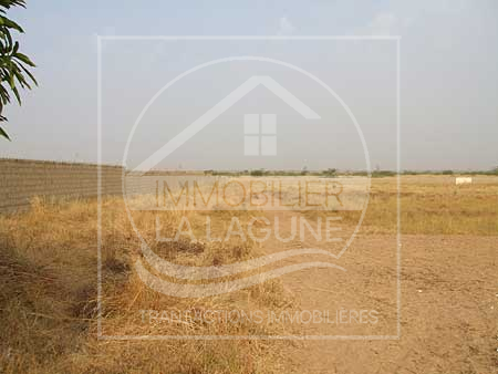Agence Immobilière Saly Sénégal - T1114 - Terrain à SOMONE - T1114-Terrain-Senegal-SOMONE-