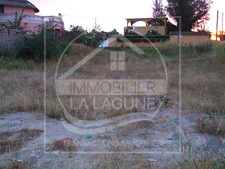 Agence Immobilière Saly Sénégal - T1337 - Terrain à WARANG - T1337-Terrain-Senegal-WARANG-Vente terrain a warang