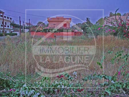 Agence Immobilière Saly Sénégal - T1337 - Terrain à WARANG - T1337-Terrain-Senegal-WARANG-Vente terrain a warang