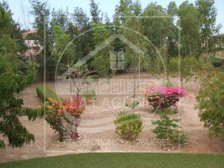 Agence Immobilière Saly Sénégal - T1637 - Terrain à WARANG - T1637-Terrain-Senegal-WARANG-Vente terrain warang