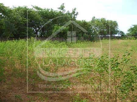 Agence Immobilière Saly Sénégal - T1286 - Terrain à WARANG - T1286-Terrain-Senegal-WARANG-Vente de terrain a warang