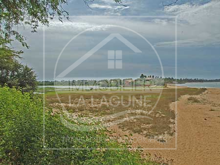 Agence Immobilière Saly Sénégal - T1286 - Terrain à WARANG - T1286-Terrain-Senegal-WARANG-Vente de terrain a warang