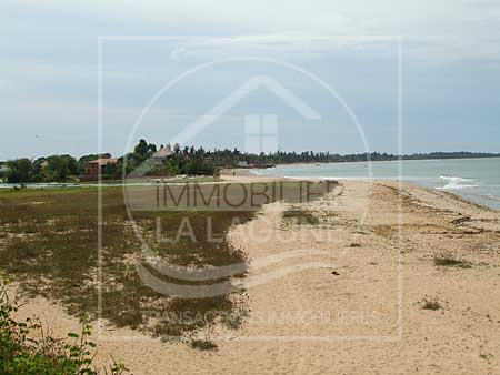Agence Immobilière Saly Sénégal - T1286 - Terrain à WARANG - T1286-Terrain-Senegal-WARANG-Vente de terrain a warang