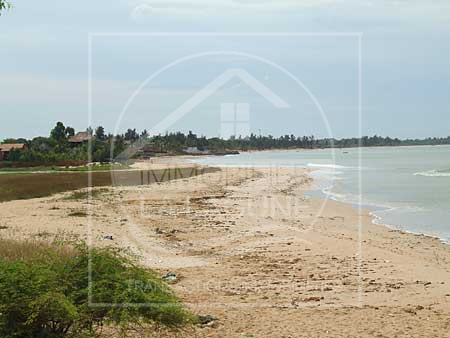 Agence Immobilière Saly Sénégal - T1286 - Terrain à WARANG - T1286-Terrain-Senegal-WARANG-Vente de terrain a warang