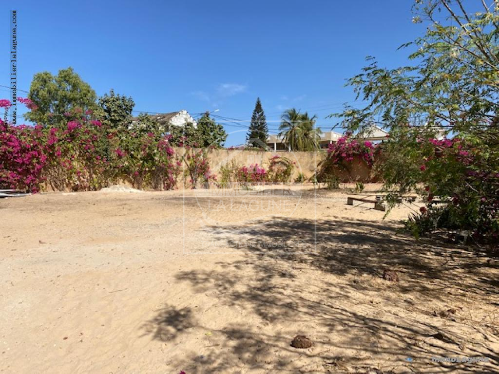 Agence Immobilière Saly Sénégal - T2967 - Terrain à SALY - T2967 terrain a vendre saly senegal