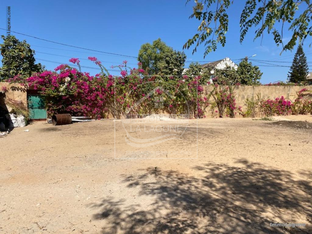 Agence Immobilière Saly Sénégal - T2967 - Terrain à SALY - T2967 terrain a vendre saly senegal