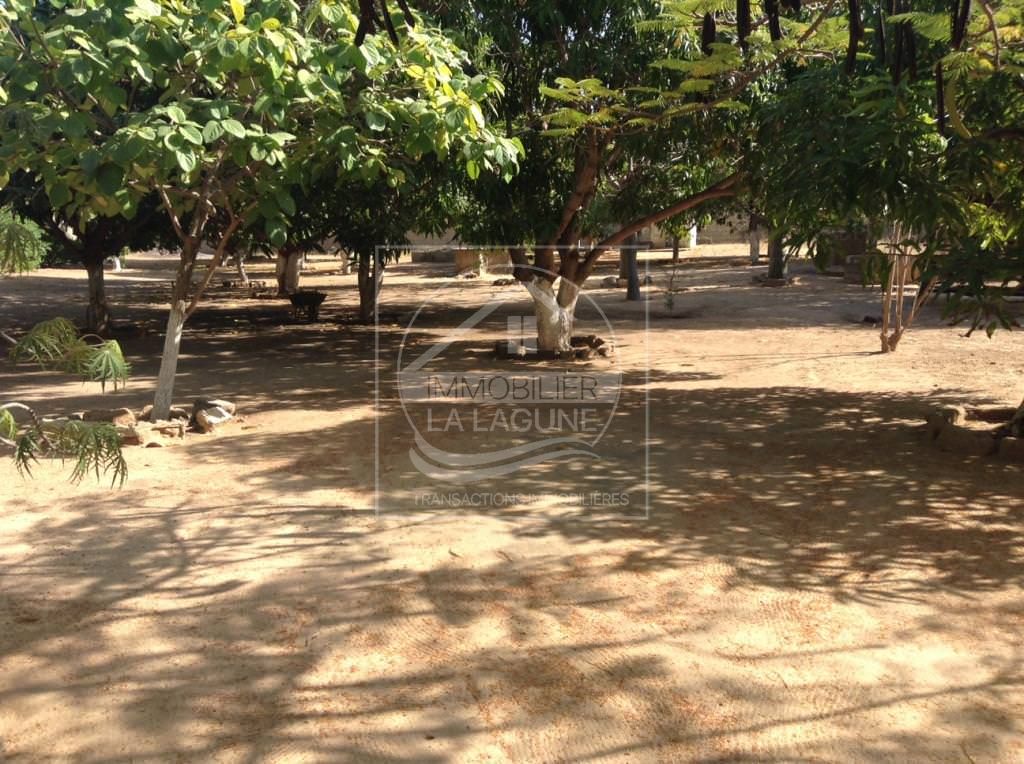 Agence Immobilière Saly Sénégal - V429 - Villa à WARANG - V429-Villa-Senegal-WARANG-Vente villa a warang
