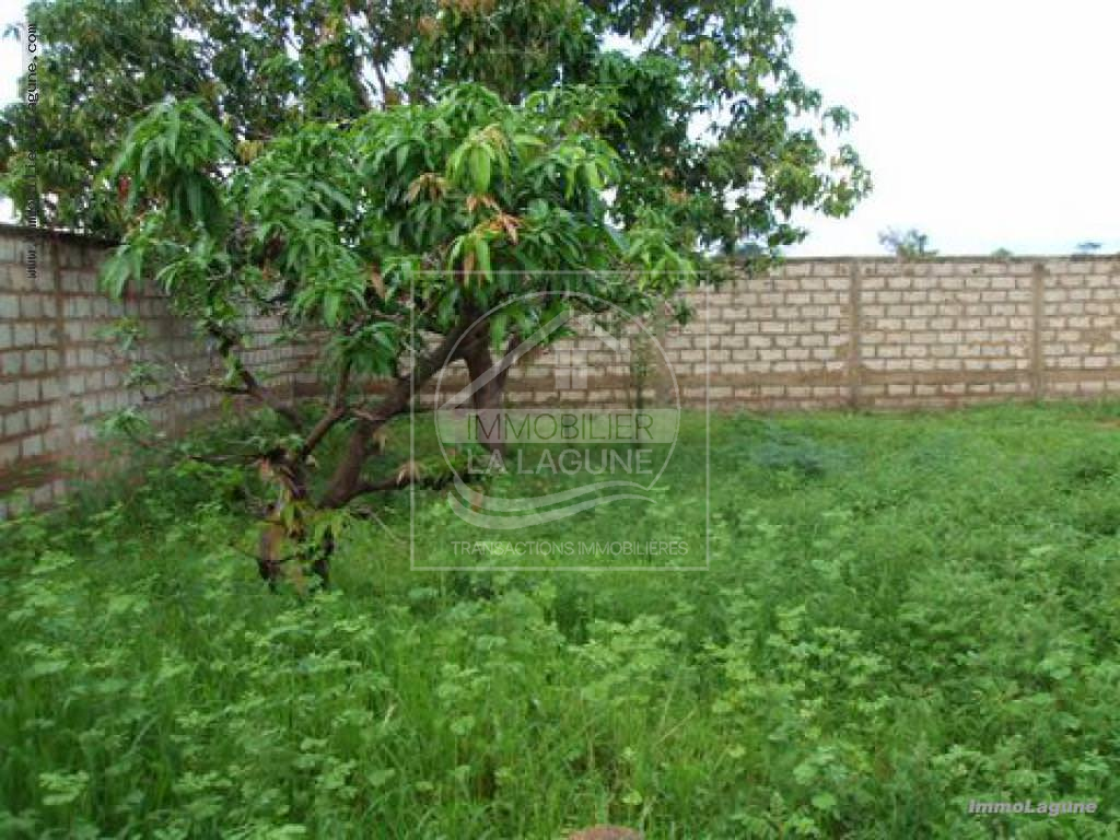 Agence Immobilière Saly Sénégal - T1233 - Terrain à N'DIOROKH - T1233 Terrain à vendre à Ndiorokh Senegal