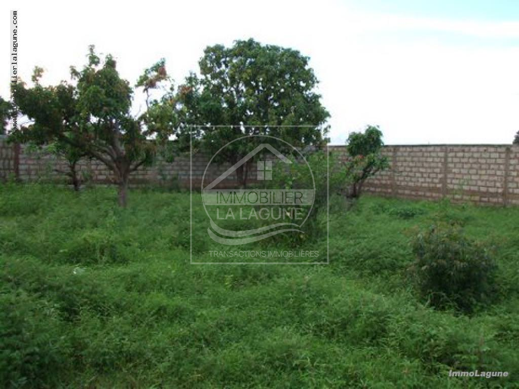 Agence Immobilière Saly Sénégal - T1233 - Terrain à N'DIOROKH - T1233 Terrain à vendre à Ndiorokh Senegal