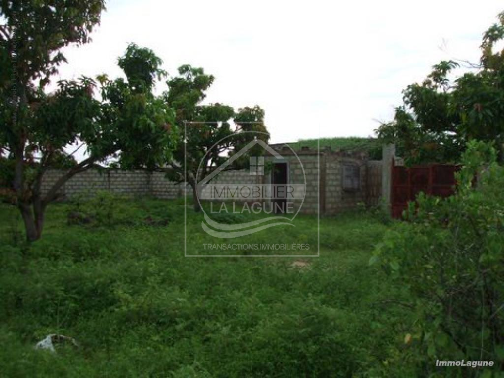 Agence Immobilière Saly Sénégal - T1966 - Terrain à N'DIOROKH - T1966 Terrain à vendre à Ndiorokh Senegal