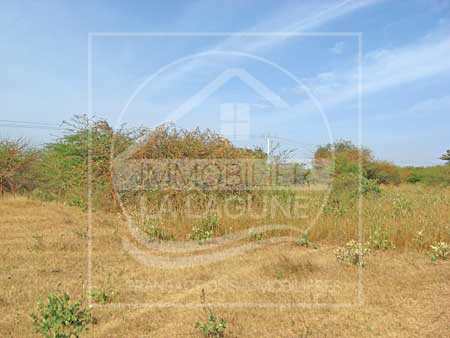 Agence Immobilière Saly Sénégal - T661 - Terrain à BANDIA - T661-Terrain-Senegal-BANDIA-