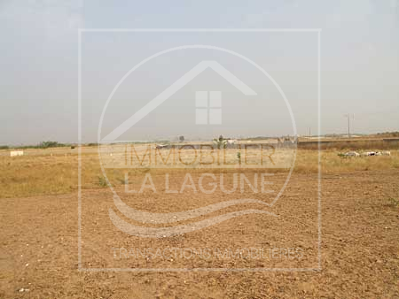 Agence Immobilière Saly Sénégal - T1114 - Terrain à SOMONE - T1114-Terrain-Senegal-SOMONE-