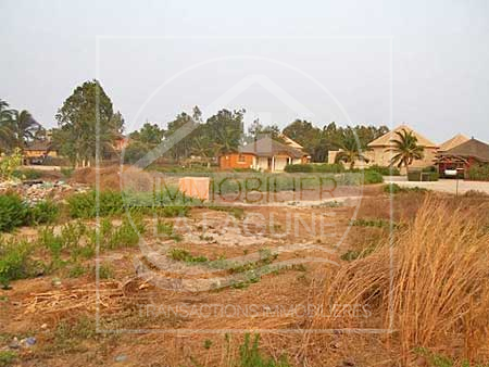 Agence Immobilière Saly Sénégal - T1388 - Terrain à JOAL - T1388-Terrain-Senegal-JOAL FADIOUTH-Vente terrain a joal fadiouth