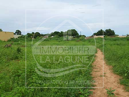Agence Immobilière Saly Sénégal - T1402 - Terrain à WARANG - T1402-Terrain-Senegal-WARANG-Vente terrain a warang