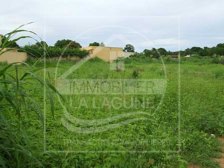 Agence Immobilière Saly Sénégal - T1402 - Terrain à WARANG - T1402-Terrain-Senegal-WARANG-Vente terrain a warang