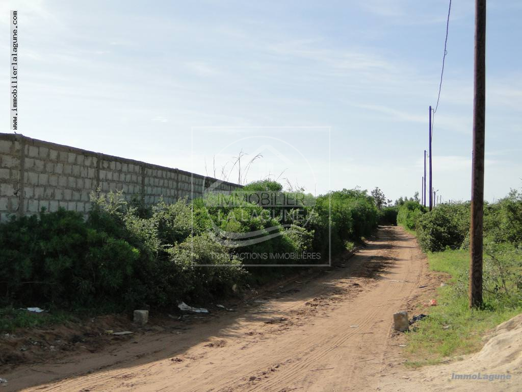 Agence Immobilière Saly Sénégal - T2120 - Terrain à NGUERIGNE - T2120 Terrain à vendre à Ngurering senegal
