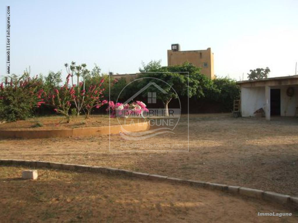 Agence Immobilière Saly Sénégal - T2129 - Terrain à NGAPAROU - V2129 grande Villa avec piscine en vente à Ngaparou Sénégal