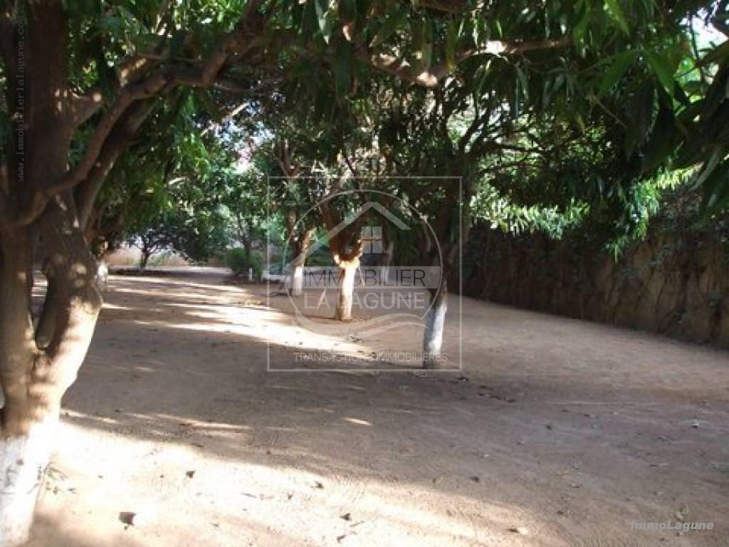 Agence Immobilière Saly Sénégal - V2172 - Villa à SOMONE - v2172-villa-proche-mer-a-vendre-somone-senegal
