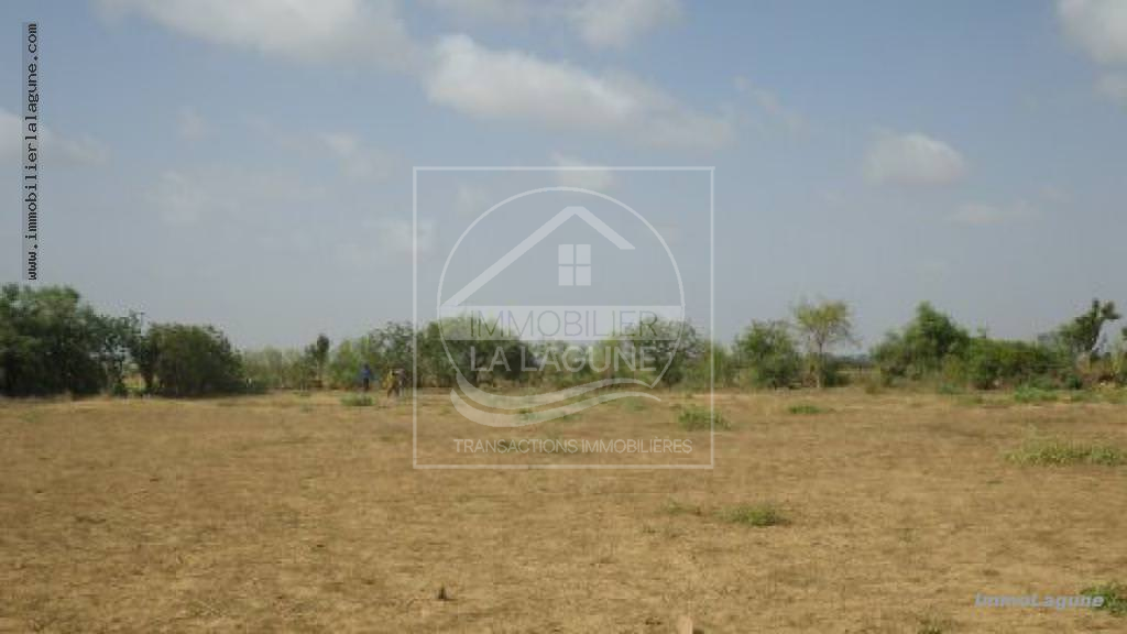 Agence Immobilière Saly Sénégal - T2178 - Terrain à GANDIGAL - v2178-terrain-a-vendre-a-gandigal-senegal