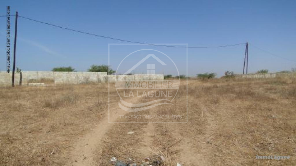 Agence Immobilière Saly Sénégal - T2184 - Terrain à SOMONE - t2184-terrain-a-vendre-a-somone-senegal