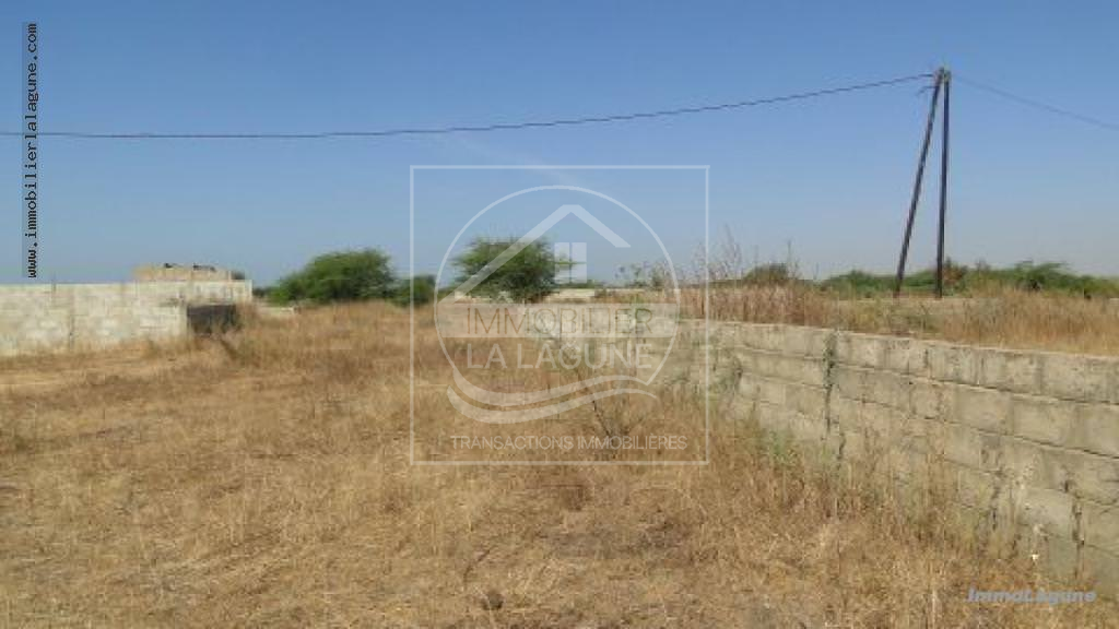 Agence Immobilière Saly Sénégal - T2184 - Terrain à SOMONE - t2184-terrain-a-vendre-somone-senegal