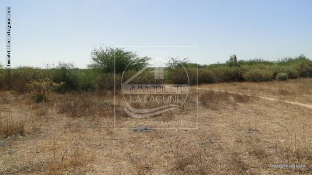 Agence Immobilière Saly Sénégal - T2184 - Terrain à SOMONE - t2184-terrain-a-vendre-a-somone-senegal