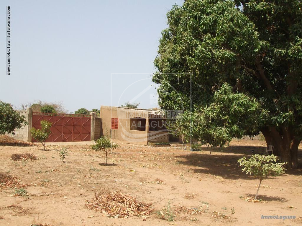 Agence Immobilière Saly Sénégal - T2222 - Terrain à NGUEKHOKH - T2222 terrain-nguekokh-senegal