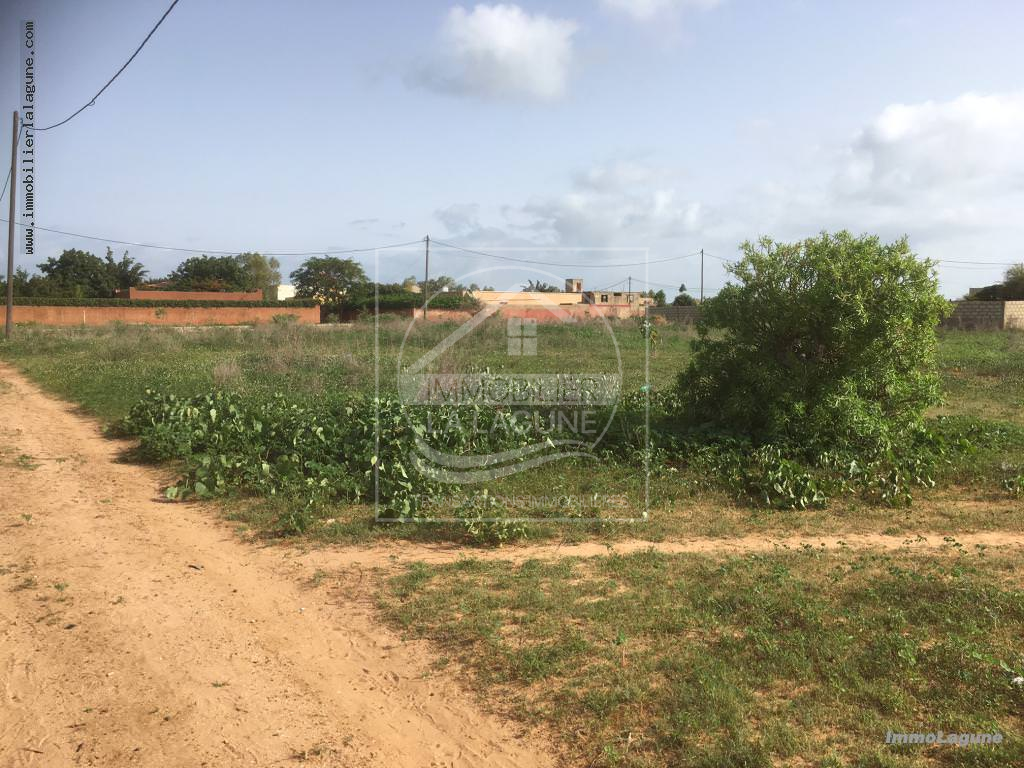 Agence Immobilière Saly Sénégal - T2253 - Terrain à NGAPAROU - T2253 terrain à acheter à ngaparou senegal