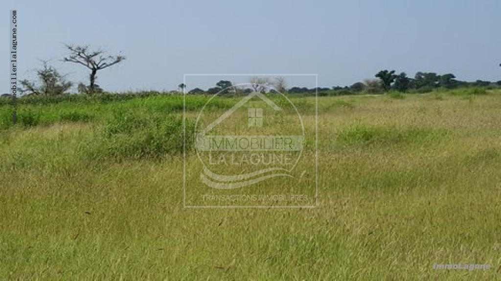 Agence Immobilière Saly Sénégal - T2332 - Terrain à NGUEKHOKH - T2332 terrain a vendre à nguekokh senegal